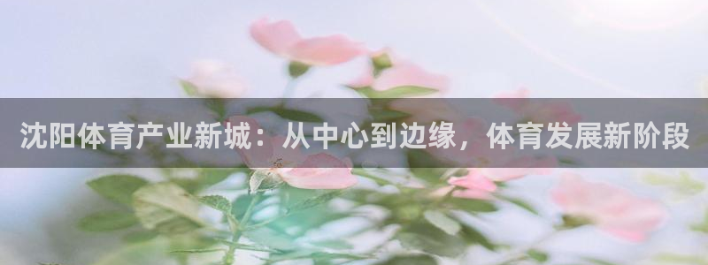 千亿国际官网下载招商电话是多少号码:沈阳体育产业新城:从中心