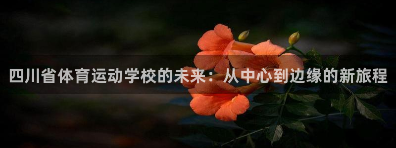 千亿国际官方正版app五金厂:四川省体育运动学校的未来:从中